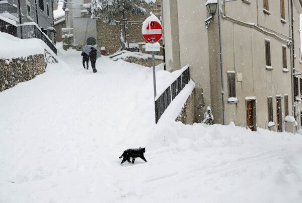 گربه ای در روی برف ها در ایتالیا - اسپوتنیک ایران  