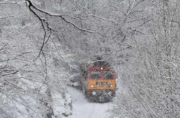 حرکت قطار مسافربری در حین بارش برف در مجارستان - اسپوتنیک ایران  