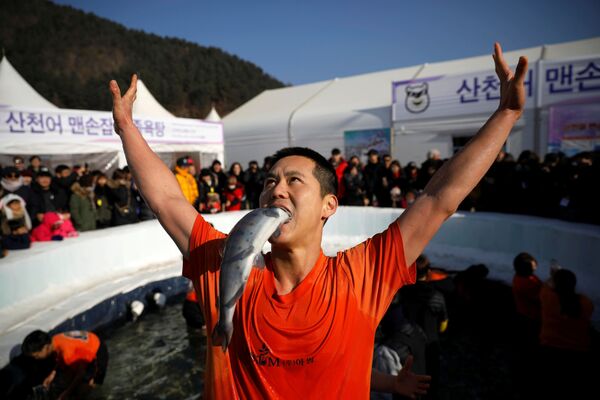 فستیوال ماهی در کره جنوبی - اسپوتنیک ایران  