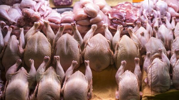 قیمت مرغ به ۲۶ هزار تومان نزدیک می شود - اسپوتنیک ایران  