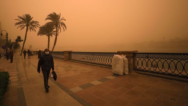 طوفان شن در قاهره - مصر - اسپوتنیک ایران  