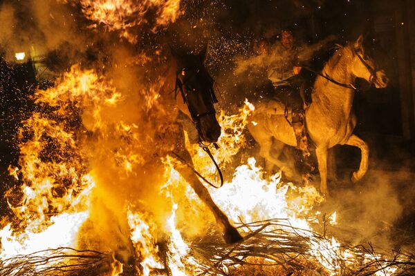 فستیوال اسبهای آتشین در اسپانیا - اسپوتنیک ایران  