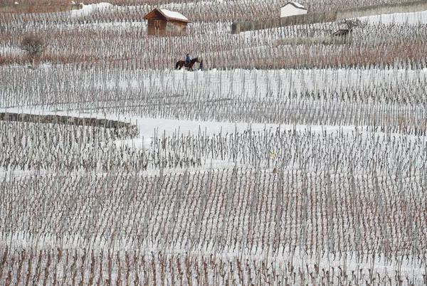 عکس های زمستانی از گوشه و کنار جهان-سوئیس - اسپوتنیک ایران  
