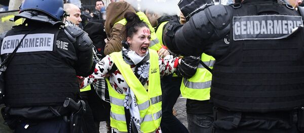 عکس سردار سلیمانی در دست جلیقه زرد فرانسوی + ویدئو عکس سردار سلیمانی در دست جلیقه زرد فرانسوی + ویدئو - اسپوتنیک ایران