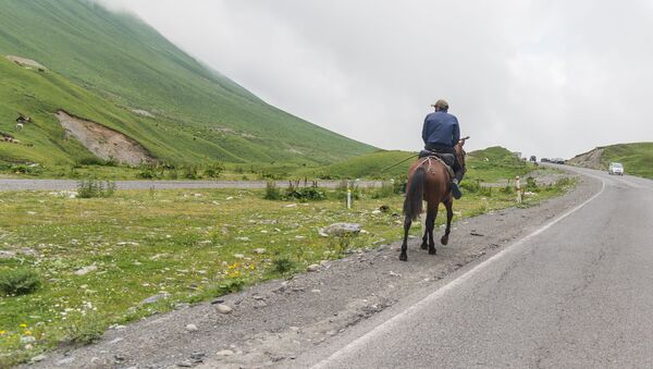 ورود مرد سوار بر اسب به سوپرمارکت +فیلم - اسپوتنیک ایران  