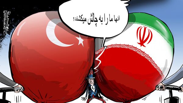 شکایت آمریکا از ایران و ترکیه - اسپوتنیک ایران  