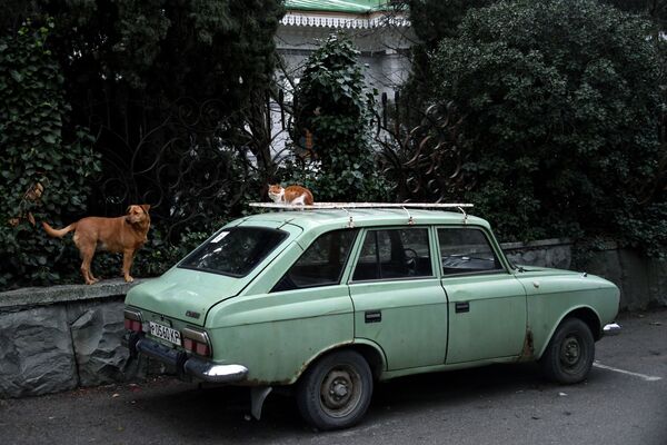 اتومبیل ایژ کومبی در یکی از خیابان های گورزوف در کریمه - اسپوتنیک ایران  