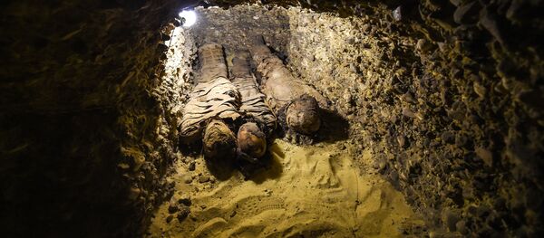 کشف اجساد مومیایی شده در قبرستان باستانی در 340 کیلومتری جنوب قاهره کشف اجساد مومیایی شده در قبرستان باستانی در 340 کیلومتری جنوب قاهره - اسپوتنیک ایران