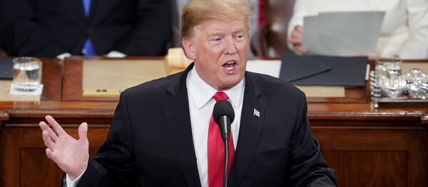 دونالد ترامپ، رئیس جمهور آمریکا دونالد ترامپ، رئیس جمهور آمریکا - اسپوتنیک ایران