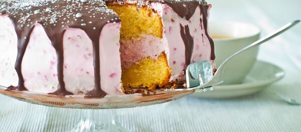 40 متر کیک برای 40 سالگی انقلاب اسلامی 40 متر کیک برای 40 سالگی انقلاب اسلامی - اسپوتنیک ایران