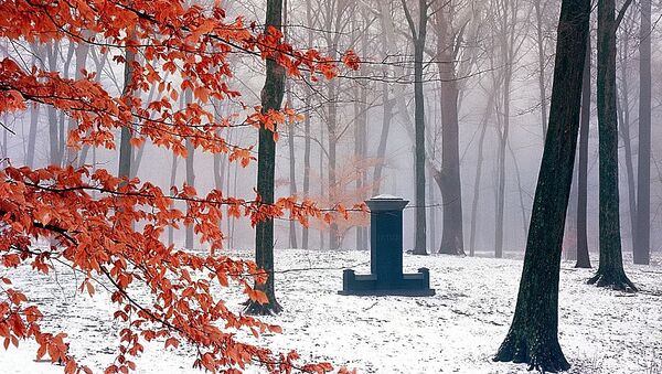 Кладбище Спринг Гров в штате Огайо зимой - اسپوتنیک ایران  