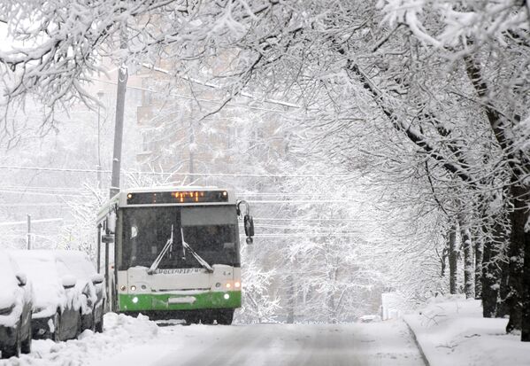 خط اتوبوس در برف - اسپوتنیک ایران  