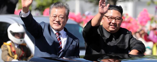 مشاور رئیس جمهور کره جنوبی: کیم جونگ اون زنده و سرِحال است مشاور رئیس جمهور کره جنوبی: کیم جونگ اون زنده و سرِحال است - اسپوتنیک ایران