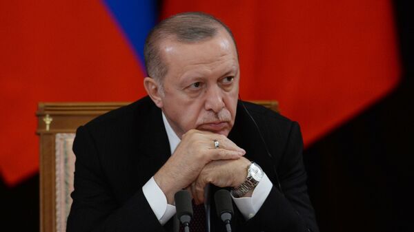 اردوغان در مذاکرات خود با روسیه به دنبال چه هدفی است؟ - اسپوتنیک ایران  