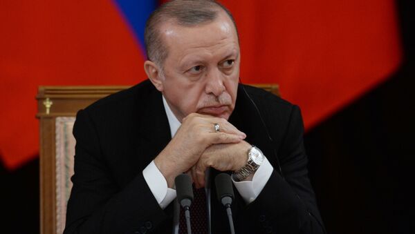 اردوغان در مذاکرات خود با روسیه به دنبال چه هدفی است؟ - اسپوتنیک ایران  