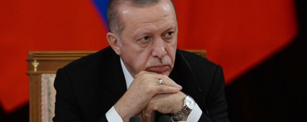 اردوغان در مذاکرات خود با روسیه به دنبال چه هدفی است؟ اردوغان در مذاکرات خود با روسیه به دنبال چه هدفی است؟ - اسپوتنیک ایران