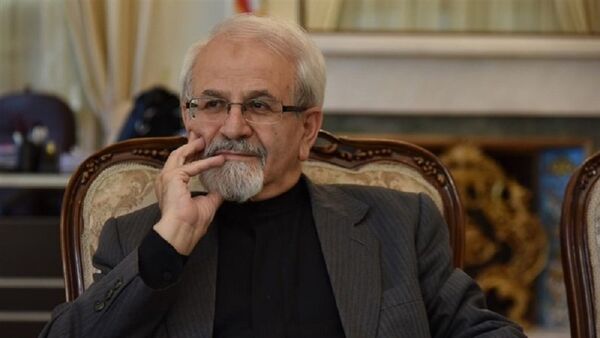 محمد کاظم سجادپور، معاون وزیر امور خارجه ایران - اسپوتنیک ایران  