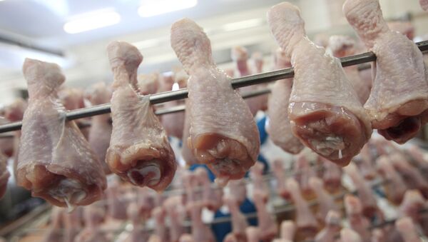 فروش مرغ قطعه بندی امروز از سرگرفته می‌ شود - اسپوتنیک ایران  