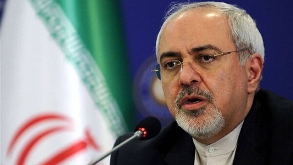 واکنش ظریف به ابراز نگرانی اروپایی ها - اسپوتنیک ایران  