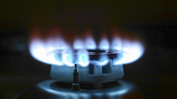 Газовая конфорка - اسپوتنیک ایران  