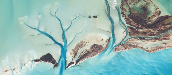 جزیره باهاما جزیره باهاما - اسپوتنیک ایران