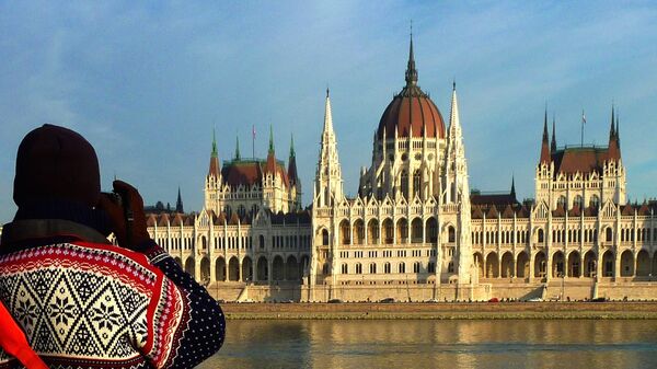 تصویب درخواست سوئیس برای پیوستن به ناتو در مجلس مجارستان - اسپوتنیک ایران  