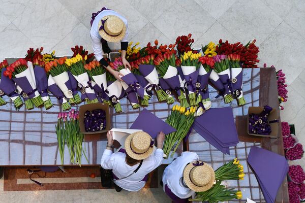 فروش گل لاله در  مسکو - اسپوتنیک ایران  