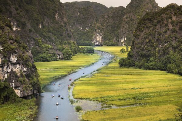 رود «نگو دونگ» در ویتنام - اسپوتنیک ایران  