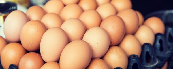 ماده غذایی موثر برای تقویت شش ها در دوره بیماری کرونا
ماده غذایی موثر برای تقویت شش ها در دوره بیماری کرونا
- اسپوتنیک ایران