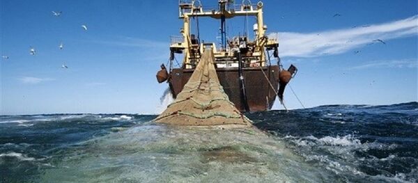 جلوگیری سپاه از صید ترال در خلیج فارس جلوگیری سپاه از صید ترال در خلیج فارس - اسپوتنیک ایران