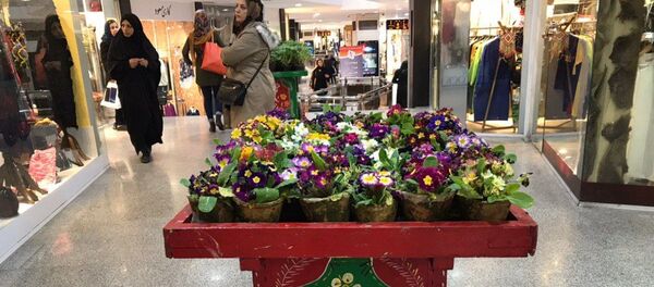 حال و هوای نوروز در تهران حال و هوای نوروز در تهران - اسپوتنیک ایران