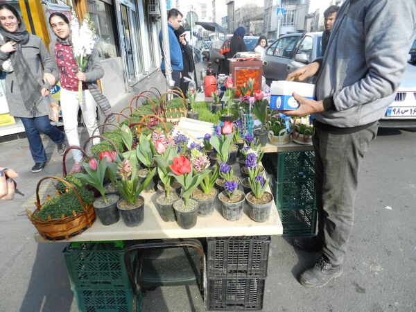 بازار عید در خیابان های تهران - اسپوتنیک ایران  