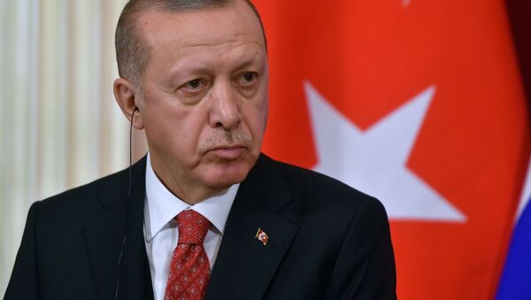 اردوغان تهدید به بستن پایگاه های نظامی کرد - اسپوتنیک ایران  