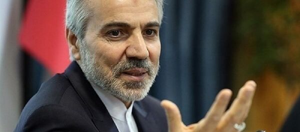 محمد باقر نوبخت، معاون رئیس جمهور ایران - اسپوتنیک ایران  