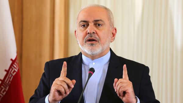 ظریف از علت اصلی سقوط هواپیمای اوکراینی تا جمعه ۲۰ دی ماه خبر نداشت - اسپوتنیک ایران  