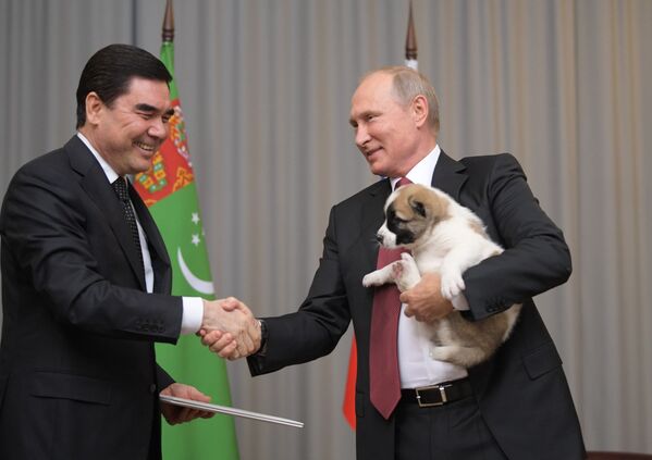 ولادیمیر پوتین و سگ «ورنی»(باوفا)  هدیه رئیس جمهور ترکمنستان - اسپوتنیک ایران  