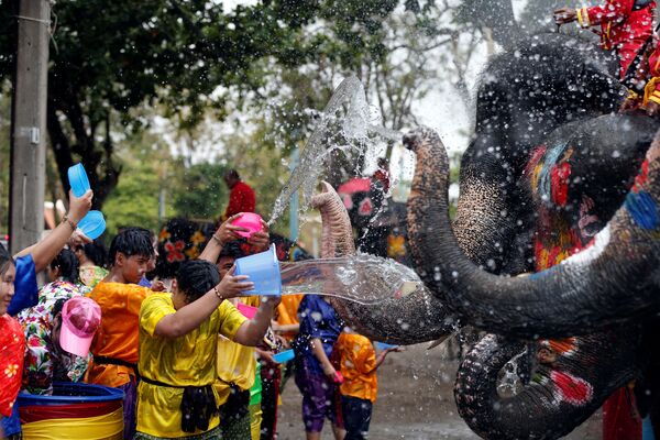 فیل ها و آدمها در حال آب بازی در تایلند - اسپوتنیک ایران  