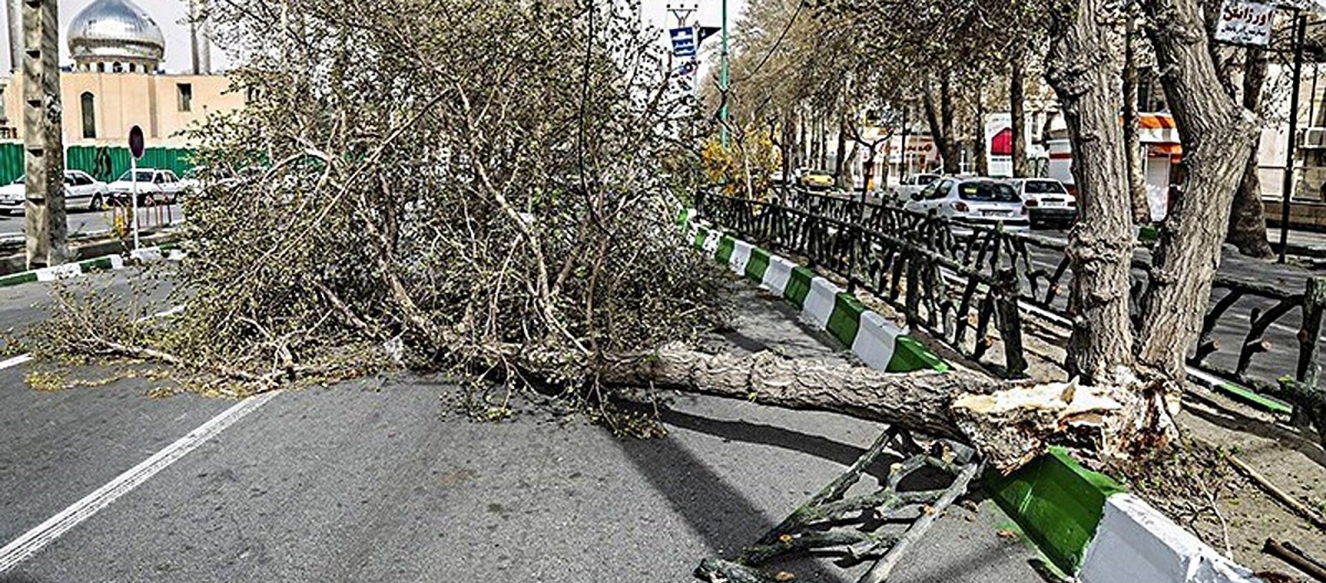 وزش باد شدید و تندباد در شیراز باعث مصدومیت ۱۸ نفر شد - اسپوتنیک ایران  , 1920, 12.03.2021