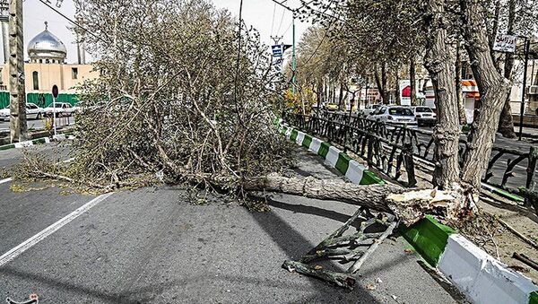 وزش باد شدید و تندباد در شیراز باعث مصدومیت ۱۸ نفر شد - اسپوتنیک ایران  