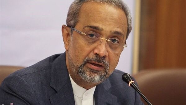 محمد نهاوندیان، معاون اقتصادی رئیس‌‌ جمهور ایران - اسپوتنیک ایران  