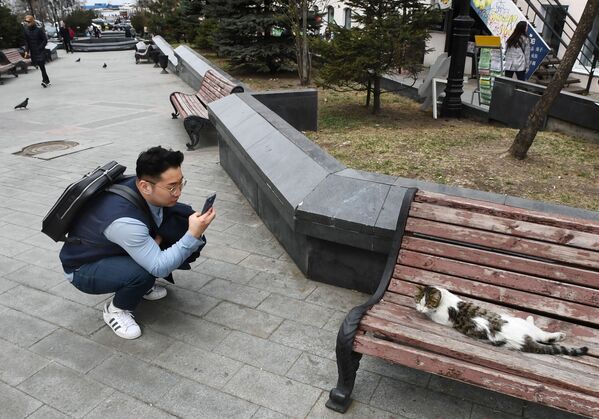 گردشگر در حال عکس گرفتن از یک گربه در خیابان دریاسالار فوکین در ولادی وستوک - اسپوتنیک ایران  