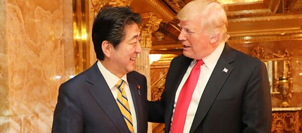 گفتگوی محرمانه آمریکا و ژاپن با محوریت ایران - اسپوتنیک ایران  