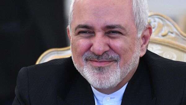 محدود کردن تحرک ظریف، نشانه ضعف آمریکا در قبال منطق - اسپوتنیک ایران  