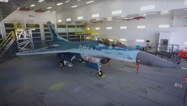 پرواز جنگنده آمریکایی با گریم روسی + ویدئو - اسپوتنیک ایران  