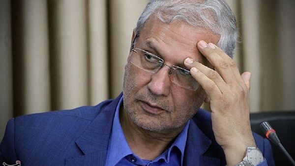 علی ربیعی، سخنگوی دولت - اسپوتنیک ایران  