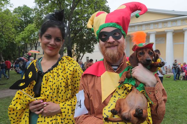 فستیوال سگ ها در شهر سن پترزبورگ روسیه - اسپوتنیک ایران  