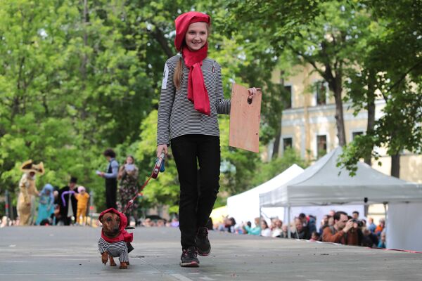 فستیوال سگ ها در شهر سن پترزبورگ روسیه - اسپوتنیک ایران  