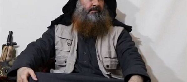 واکنش کاربران ایرانی به کشته شدن البغدادی: این یک شو رسانه ای است واکنش کاربران ایرانی به کشته شدن البغدادی: این یک شو رسانه ای است - اسپوتنیک ایران