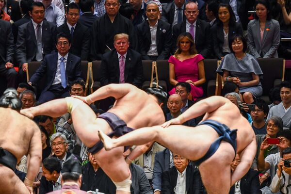 ترامپ و ملانیا همراه نخست وزیر ژاپن و همسرش در مسابقه سومو - اسپوتنیک ایران  
