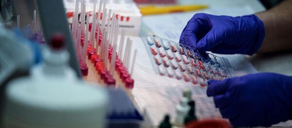 واکسن کرونا ویروس با موفقیت روی میمون ها آزمایش شد - اسپوتنیک ایران  